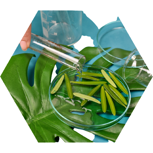 Hypertea Čaj – Shop Pure